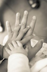 77b1dc6327da12a523ef58cda02d3eba